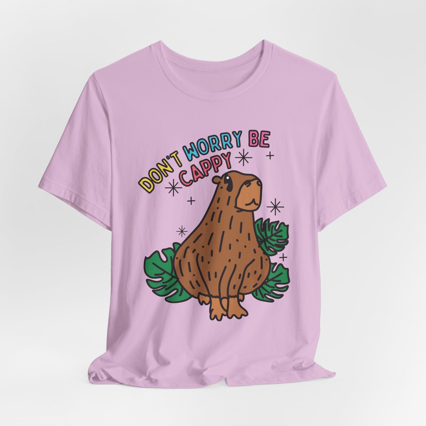 Capybara Inspirational Unisex Fit Graphic Tee