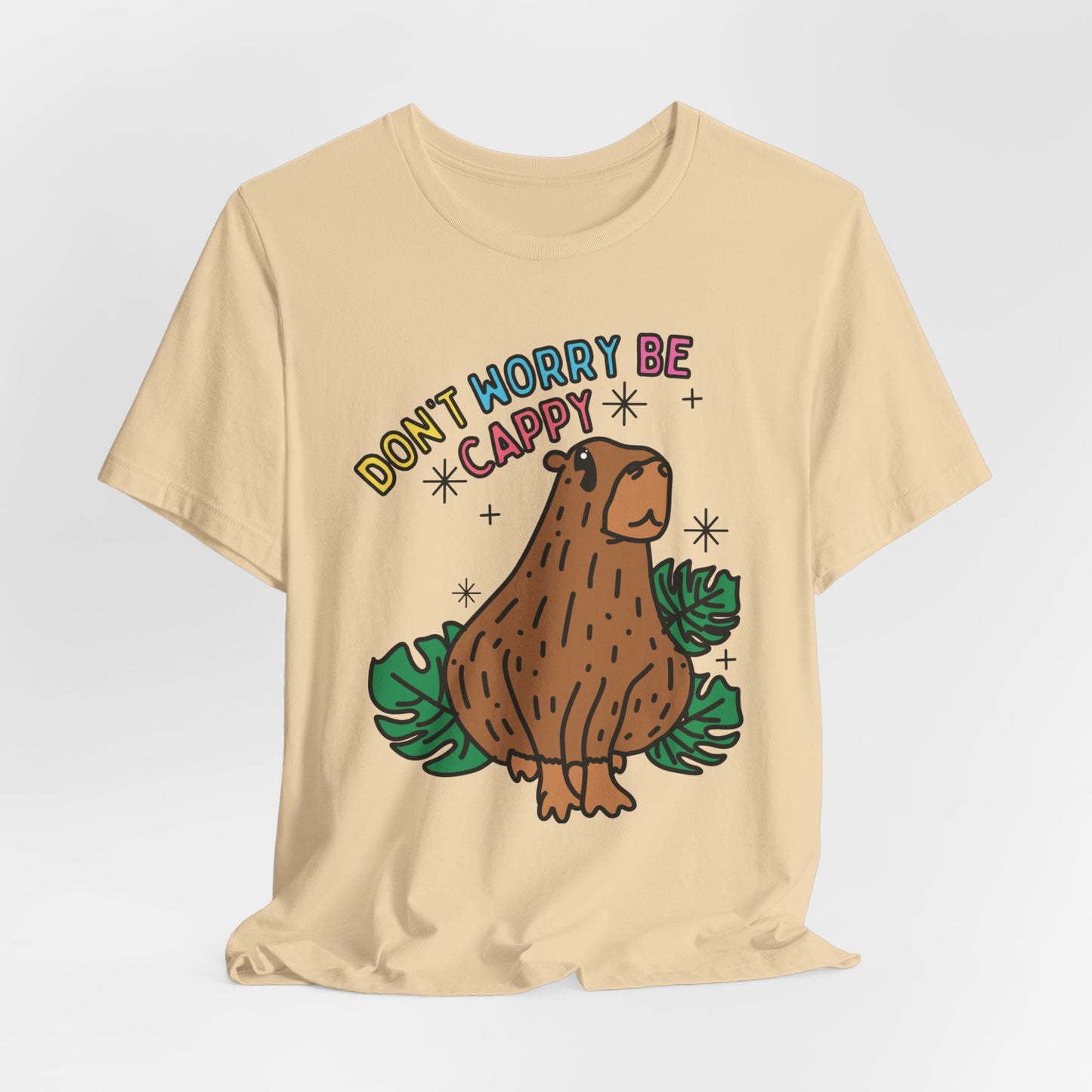 Capybara Inspirational Unisex Fit Graphic Tee