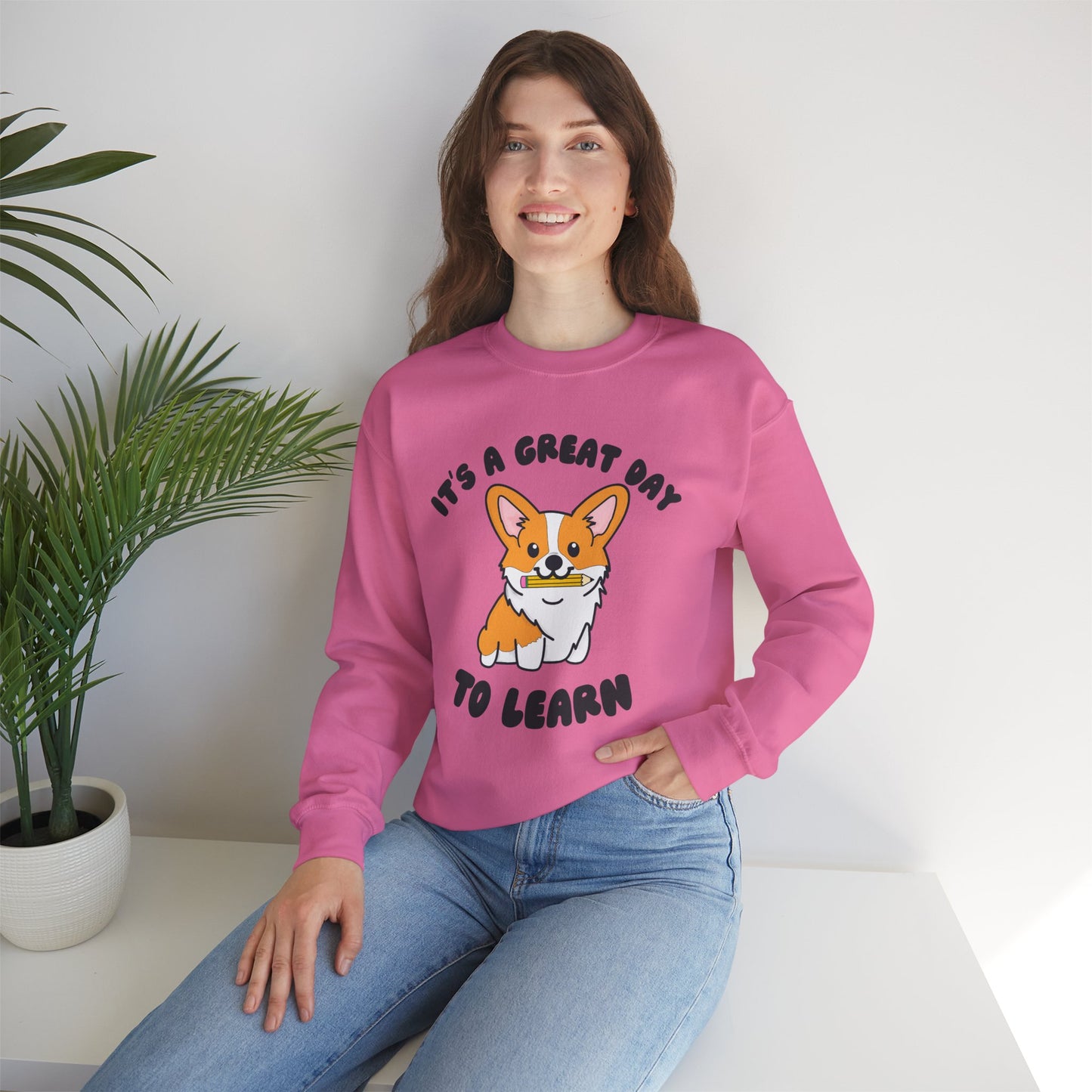 Corgi Teacher Pullover | Corgi School Teacher Sweatshirt | Apparel for Educators & Corgi Lovers | Teacher Gift | Elementary Teacher Sweater