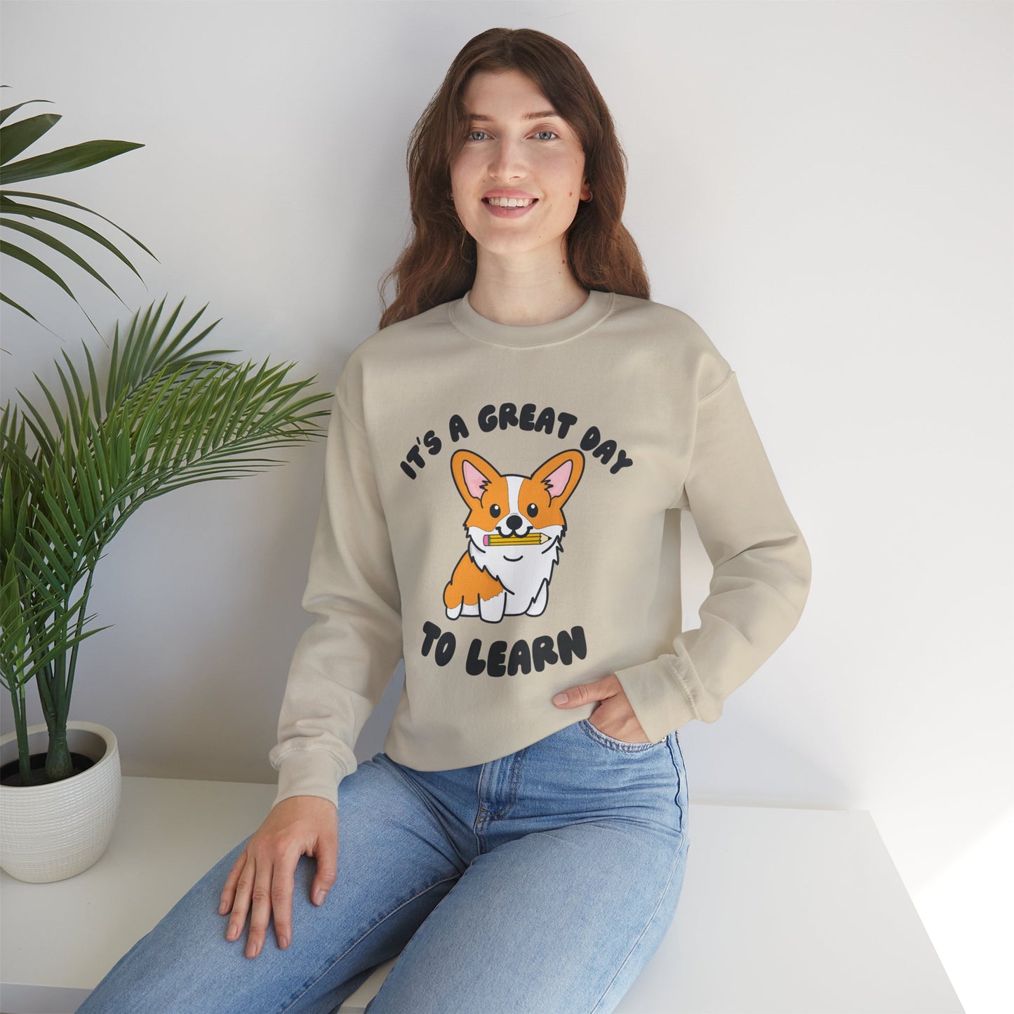 Corgi Teacher Pullover | Corgi School Teacher Sweatshirt | Apparel for Educators & Corgi Lovers | Teacher Gift | Elementary Teacher Sweater