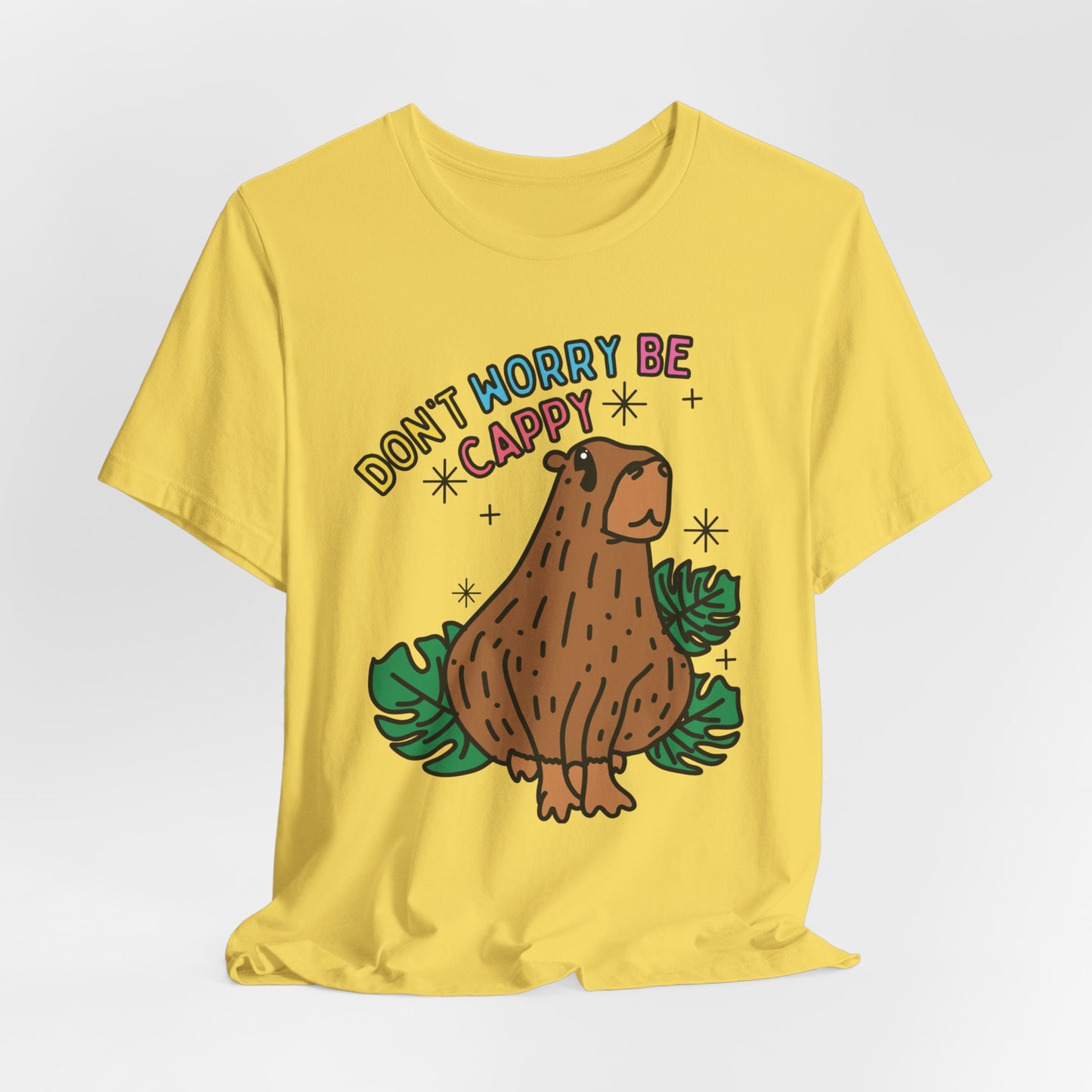 Capybara Inspirational Unisex Fit Graphic Tee